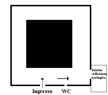 Piantina che illustra in modo approssimativo la disposizione delle vasche